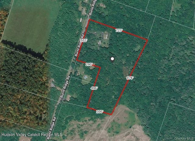 239 Burnt Ridge Road, Liberty, NY 12754