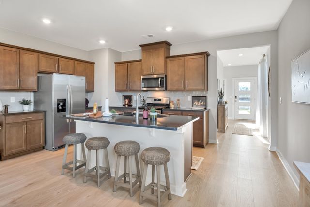 6595 Japonica Lane, White House, TN 37188