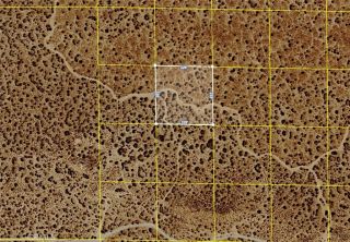 0 Nearby 120th St E/Ave N6, Palmdale, CA 93591