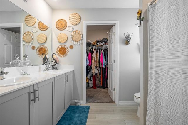 12920 WELLSPRING DRIVE, Lithia, FL 33547