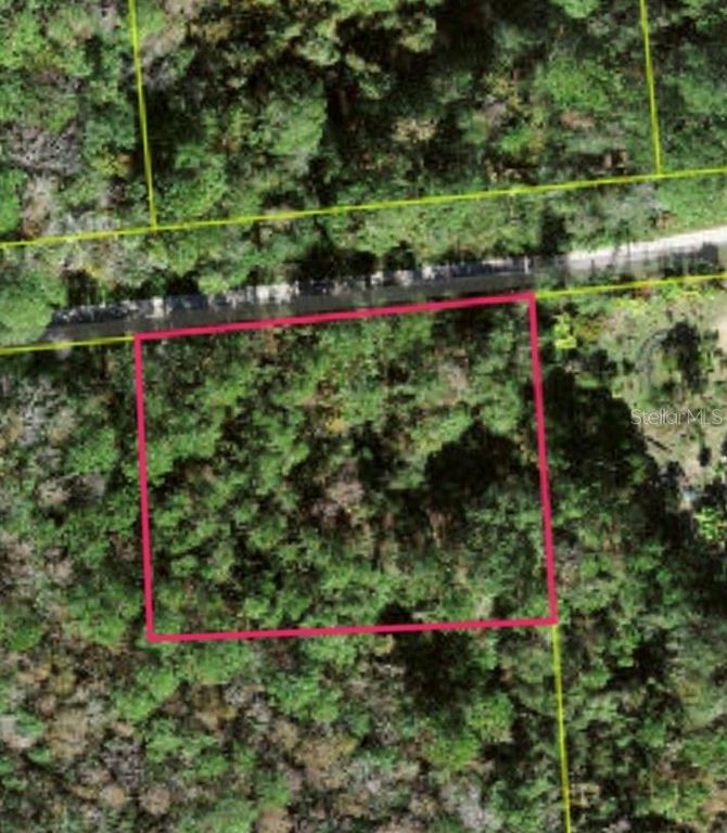 Lot 48 AMELIA TRAIL, Kissimmee, FL 34747