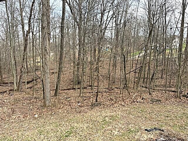 6405 Pixie Place, Nashport, OH 43830