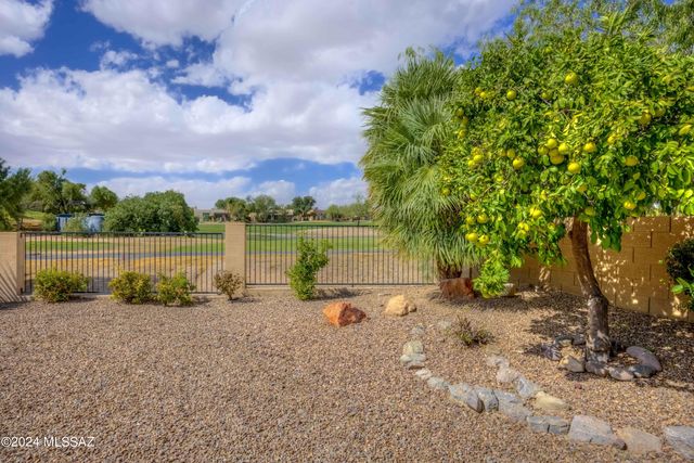 11321 N Palmetto Dunes Avenue, Oro Valley, AZ 85737