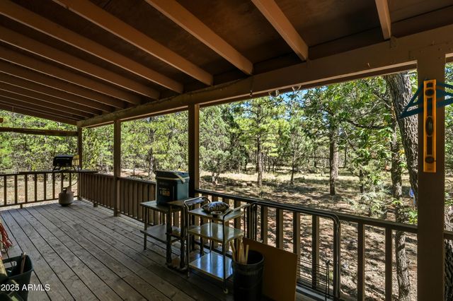 1493 GREEN RIDGE Drive, Happy Jack, AZ 86024