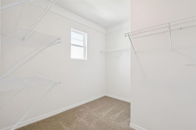 4593 BARBERRY AVENUE, Lakeland, FL 33811