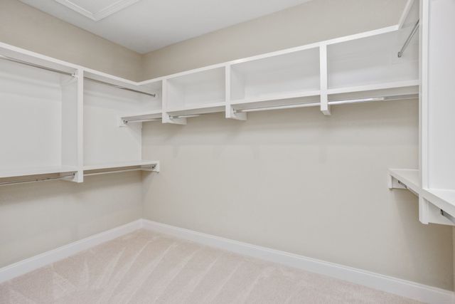 7003 Thunderhead Way, Spring Hill, TN 37174