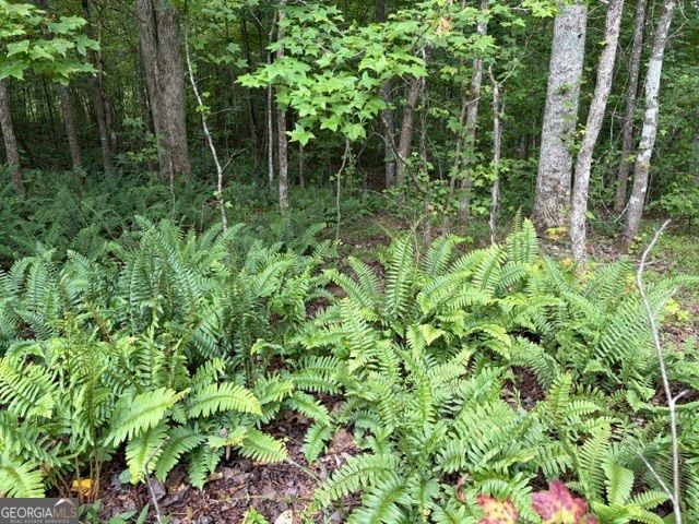 LOT 188 NORTHSHORE AT REDWINE Drive, Newnan, GA 30263