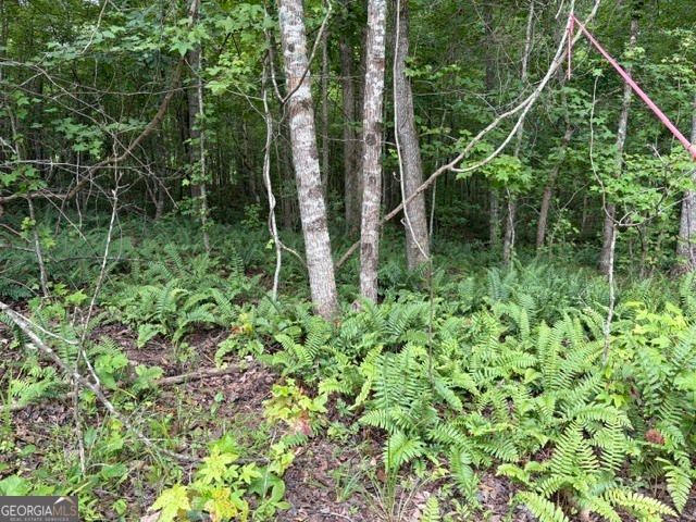 LOT 188 NORTHSHORE AT REDWINE Drive, Newnan, GA 30263