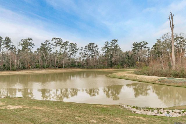 7762 Joe Lynn Trails, Denham Springs, LA 70726