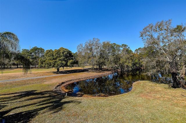 15906 PRINCE WILLIAM PLACE, Odessa, FL 33556