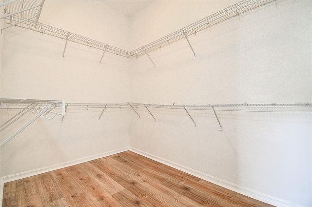 15906 PRINCE WILLIAM PLACE, Odessa, FL 33556