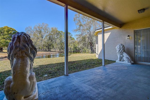 15906 PRINCE WILLIAM PLACE, Odessa, FL 33556