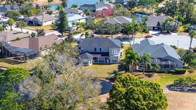 15906 PRINCE WILLIAM PLACE, Odessa, FL 33556