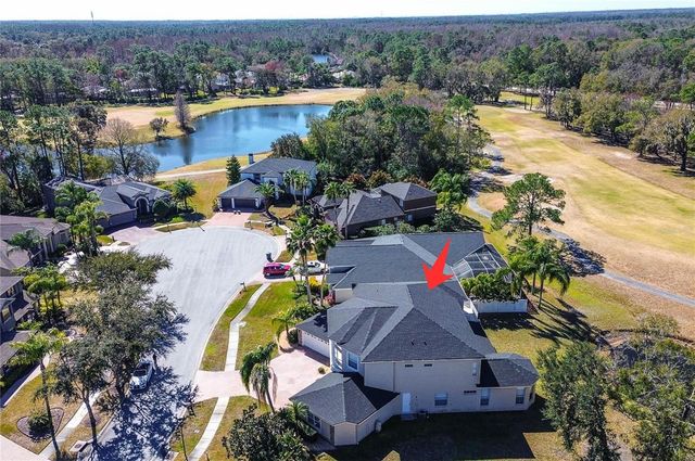 15906 PRINCE WILLIAM PLACE, Odessa, FL 33556