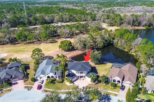 15906 PRINCE WILLIAM PLACE, Odessa, FL 33556