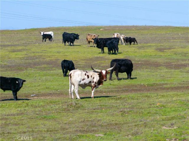 0 Creston, Paso Robles, CA 93446