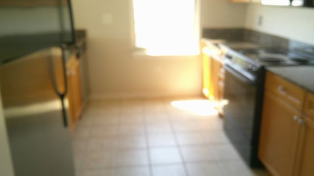 125 N Euclid Avenue 402, Oak Park, IL 60301