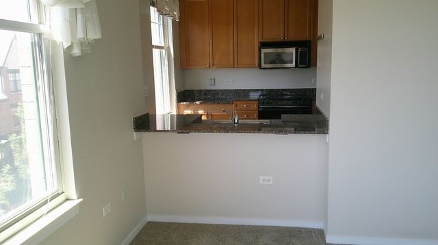 125 N Euclid Avenue 402, Oak Park, IL 60301
