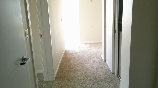 125 N Euclid Avenue 402, Oak Park, IL 60301