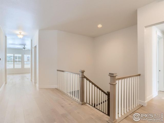 1827 Windfall Drive, Windsor, CO 80550