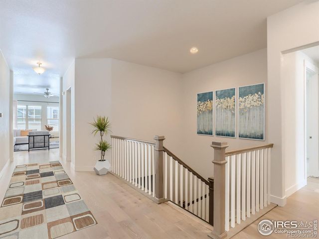 1827 Windfall Drive, Windsor, CO 80550