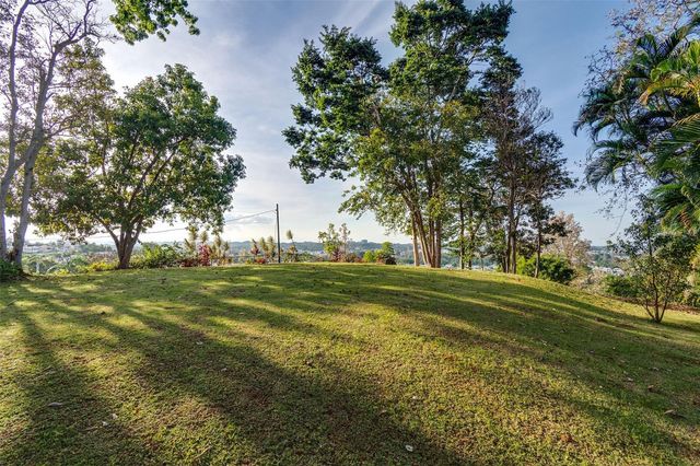 Bo Cerro Gordo, Carr 840 SECTOR VILLAS DEL OLIMPO, Bayamon, PR 00956