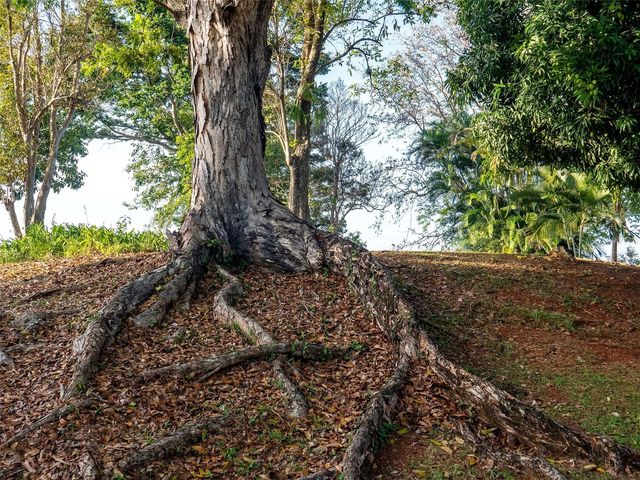 Bo Cerro Gordo, Carr 840 SECTOR VILLAS DEL OLIMPO, Bayamon, PR 00956