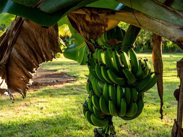 Bo Cerro Gordo, Carr 840 SECTOR VILLAS DEL OLIMPO, Bayamon, PR 00956