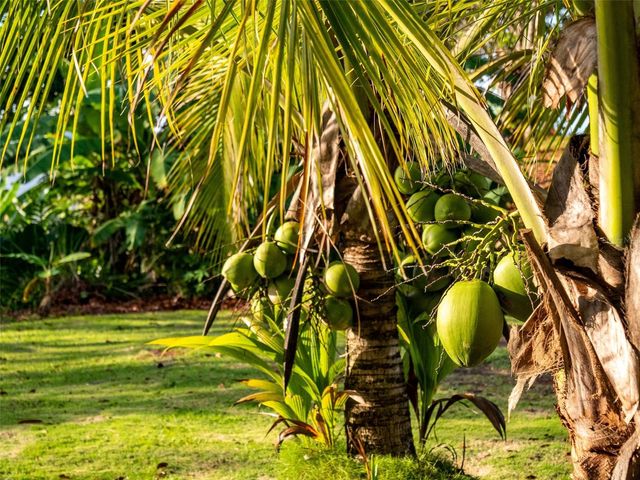 Bo Cerro Gordo, Carr 840 SECTOR VILLAS DEL OLIMPO, Bayamon, PR 00956