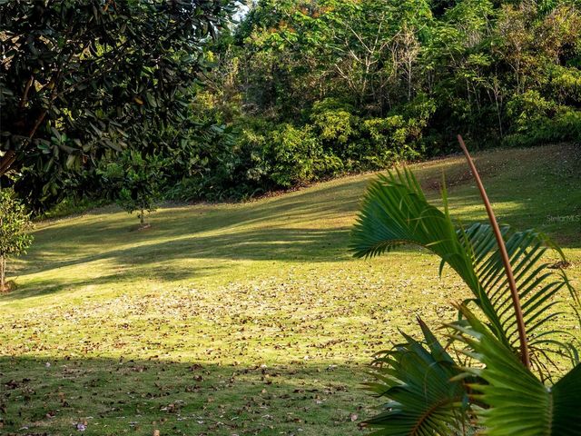 Bo Cerro Gordo, Carr 840 SECTOR VILLAS DEL OLIMPO, Bayamon, PR 00956