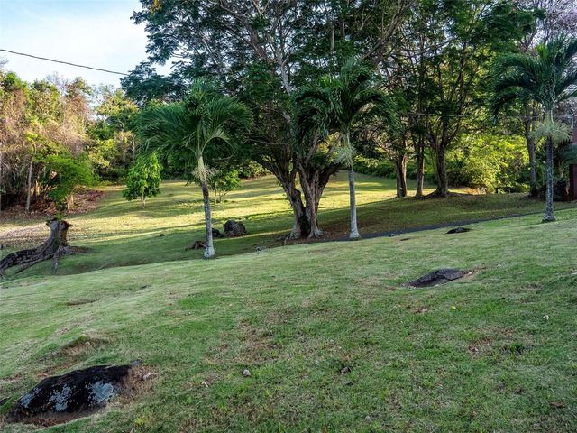 Bo Cerro Gordo, Carr 840 SECTOR VILLAS DEL OLIMPO, Bayamon, PR 00956