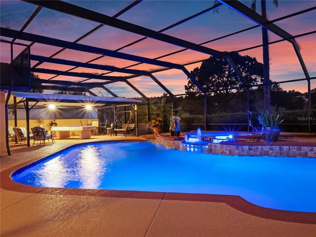 32133 WOLF BRANCH LANE, Sorrento, FL 32776