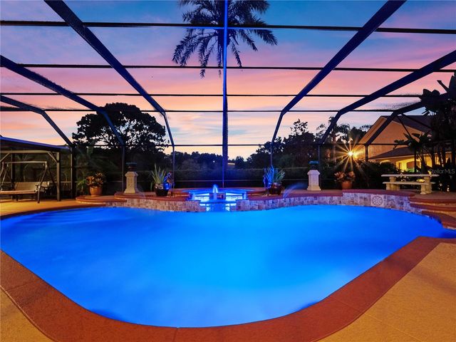 32133 WOLF BRANCH LANE, Sorrento, FL 32776