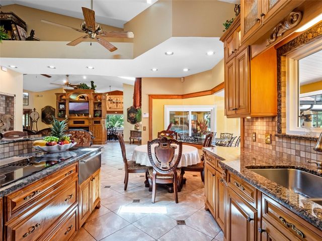 32133 WOLF BRANCH LANE, Sorrento, FL 32776