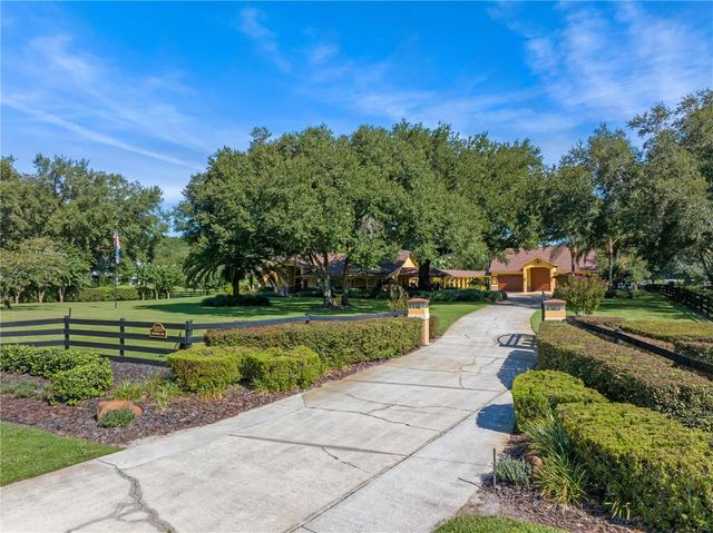 32133 WOLF BRANCH LANE, Sorrento, FL 32776