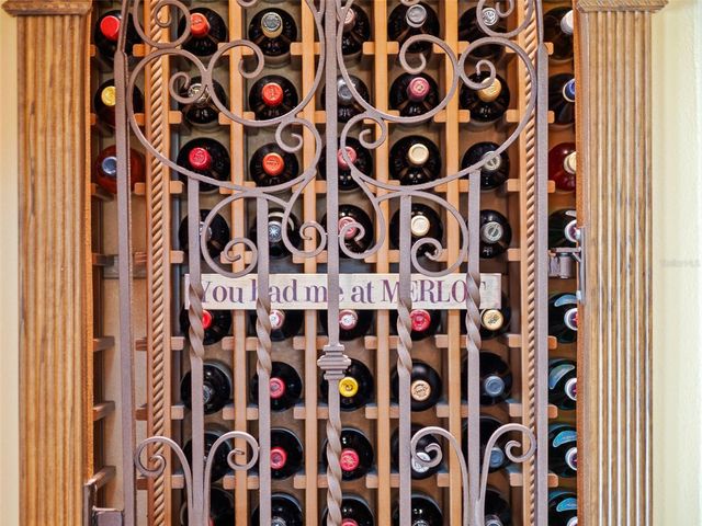 32133 WOLF BRANCH LANE, Sorrento, FL 32776