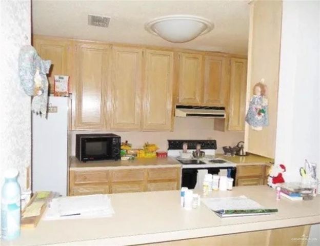 228 Alamo Street, Sullivan City, TX 78595
