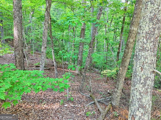 486 Barn Inn Road, Lakemont, GA 30552