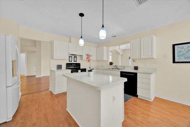 528 CARRERA DRIVE, The Villages, FL 32159