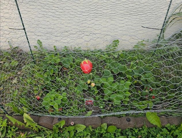 633 E COLLEEN Drive, Gardner, KS 66030