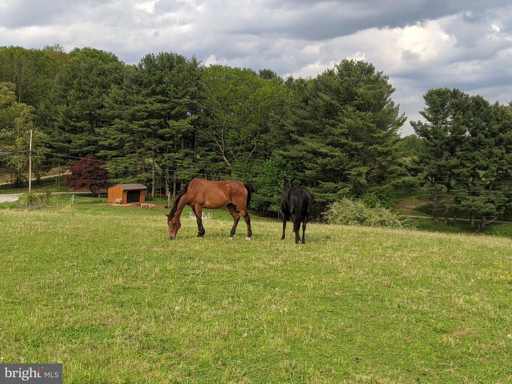 Image 74 of property listing at 19635 EAGLE MILL RD, Parkton, MD 21120