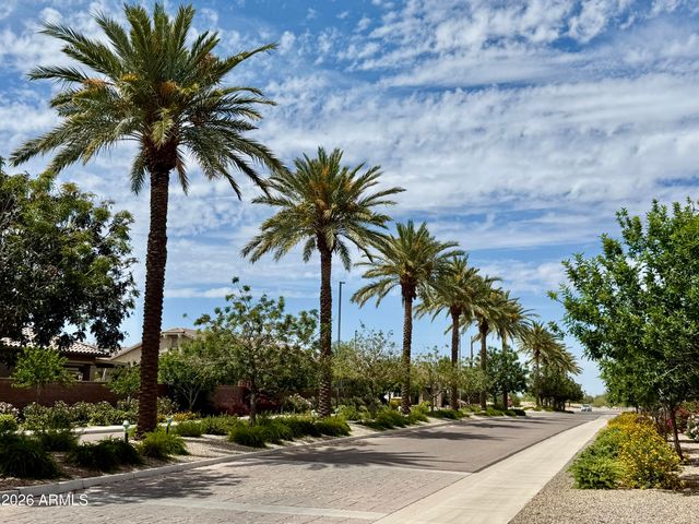 449 E LAS COLINAS Place, Chandler, AZ 85249