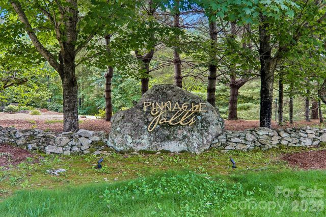11 Magnolia Branch Drive, Zirconia, NC 28790