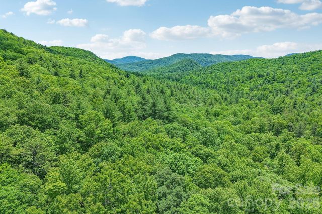 11 Magnolia Branch Drive, Zirconia, NC 28790
