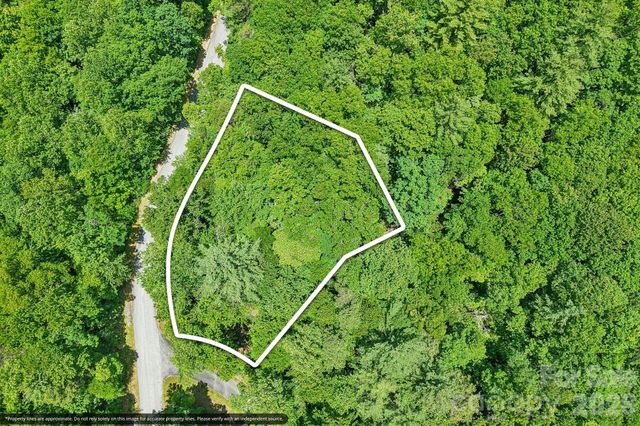 11 Magnolia Branch Drive, Zirconia, NC 28790