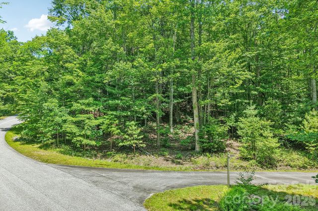 11 Magnolia Branch Drive, Zirconia, NC 28790