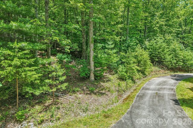 11 Magnolia Branch Drive, Zirconia, NC 28790