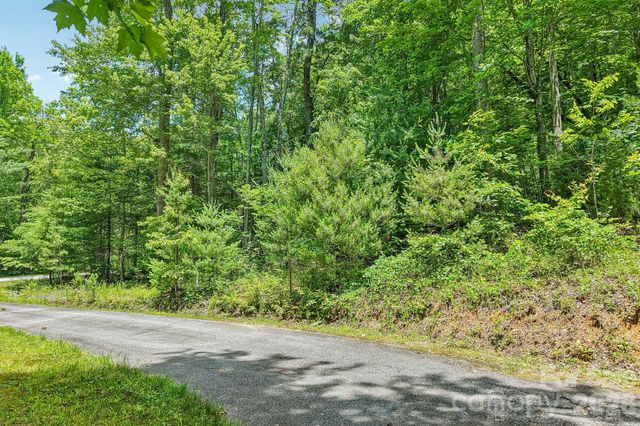 11 Magnolia Branch Drive, Zirconia, NC 28790