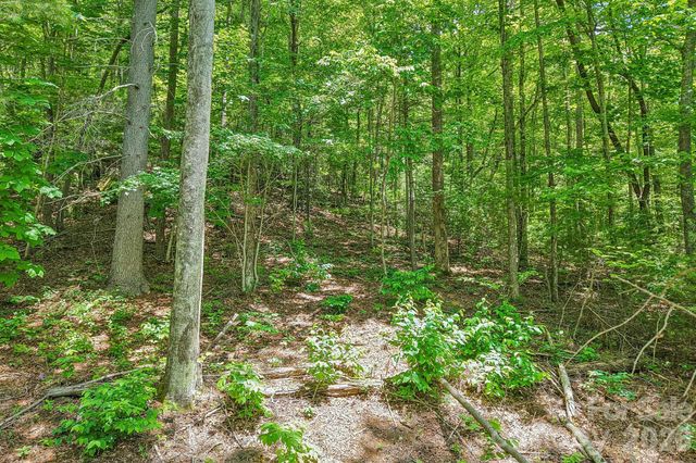 11 Magnolia Branch Drive, Zirconia, NC 28790
