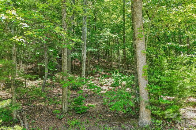 11 Magnolia Branch Drive, Zirconia, NC 28790
